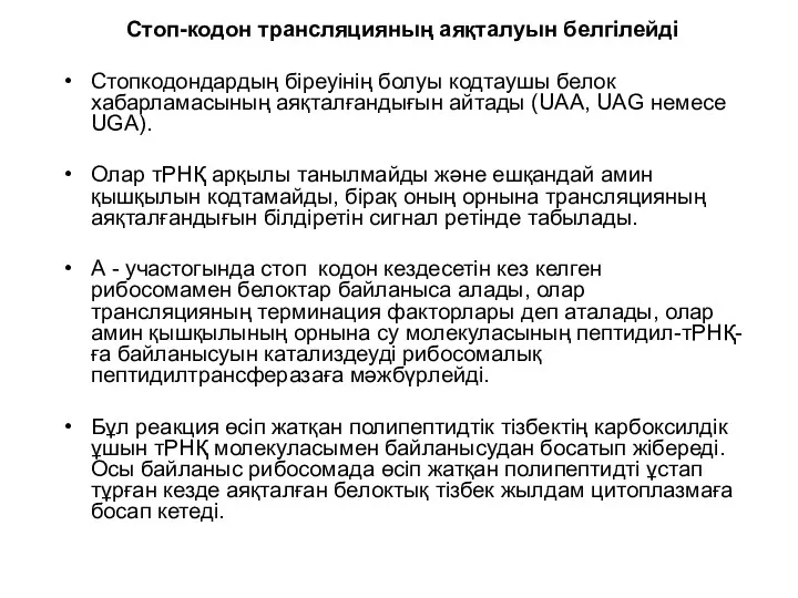 Стоп-кодон трансляцияның аяқталуын белгілейді Стопкодондардың біреуінің болуы кодтаушы белок хабарламасының аяқталғандығын айтады (UAA,