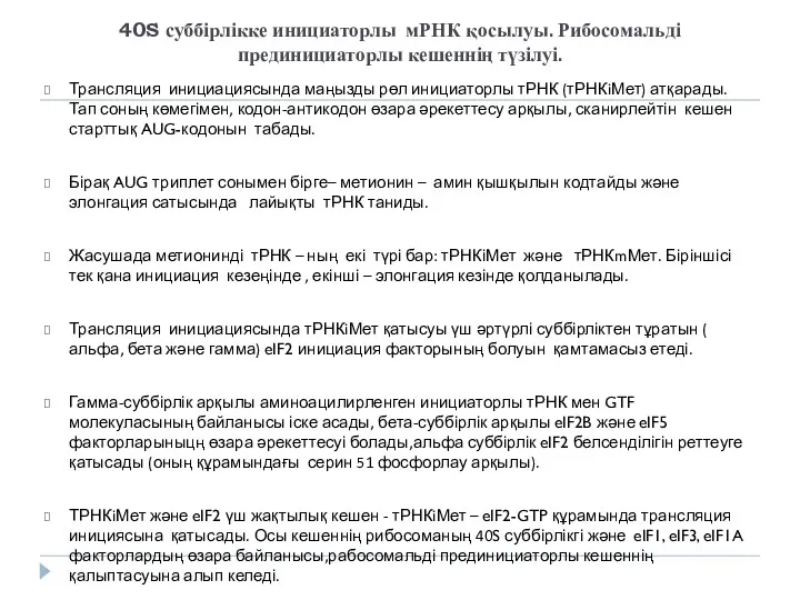 40S суббірлікке инициаторлы мРНК қосылуы. Рибосомальді прединициаторлы кешеннің түзілуі. Трансляция инициациясында маңызды рөл