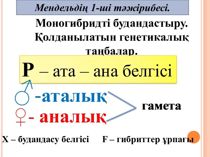 Мендельдің 1-ші тәжірибесі. Моногибридті будандастыру. Қолданылатын генетикалық таңбалар. Р –