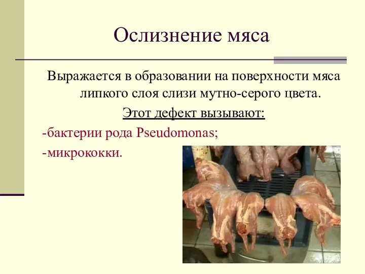 Ослизнение мяса Выражается в образовании на поверхности мяса липкого слоя слизи мутно-серого цвета.