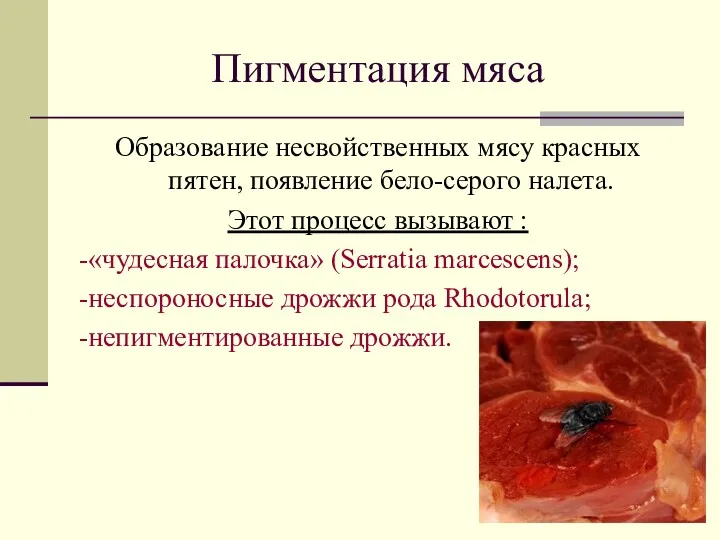 Пигментация мяса Образование несвойственных мясу красных пятен, появление бело-серого налета. Этот процесс вызывают