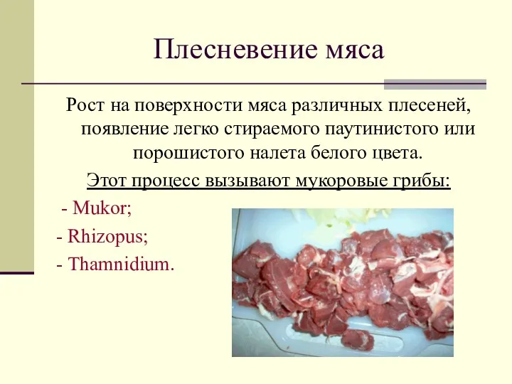 Плесневение мяса Рост на поверхности мяса различных плесеней, появление легко стираемого паутинистого или