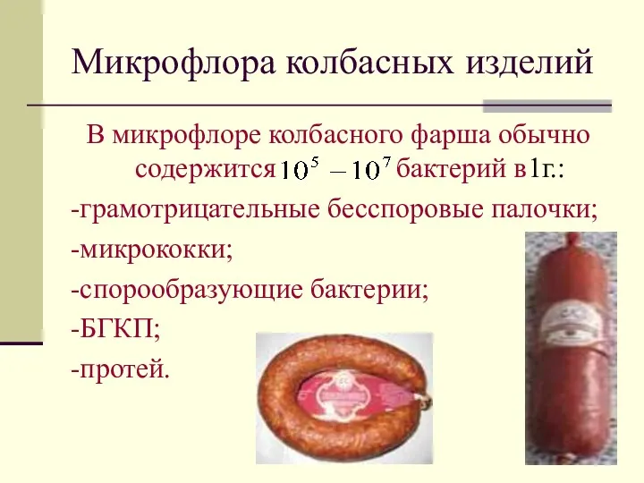 Микрофлора колбасных изделий В микрофлоре колбасного фарша обычно содержится бактерий в1г.: -грамотрицательные бесспоровые