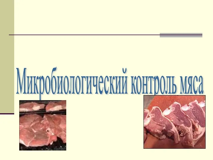 Микробиологический контроль мяса