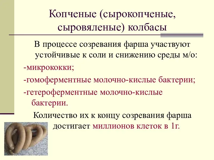 Копченые (сырокопченые, сыровяленые) колбасы В процессе созревания фарша участвуют устойчивые к соли и