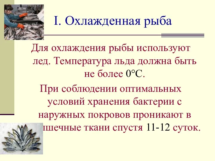 I. Охлажденная рыба Для охлаждения рыбы используют лед. Температура льда должна быть не