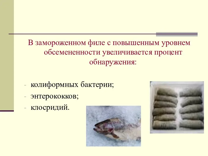 В замороженном филе с повышенным уровнем обсемененности увеличивается процент обнаружения: колиформных бактерии; энтерококков; клосридий.