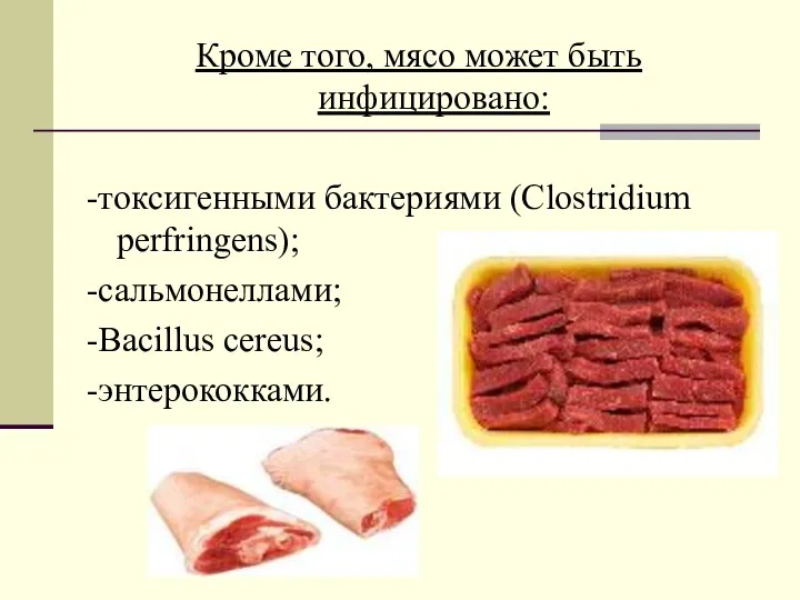 Кроме того, мясо может быть инфицировано: -токсигенными бактериями (Clostridium perfringens); -сальмонеллами; -Bacillus cereus; -энтерококками.