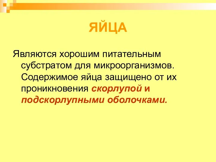 ЯЙЦА Являются хорошим питательным субстратом для микроорганизмов. Содержимое яйца защищено от их проникновения