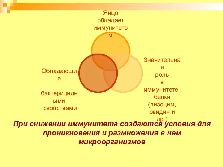 При снижении иммунитета создаются условия для проникновения и размножения в нем микроорганизмов