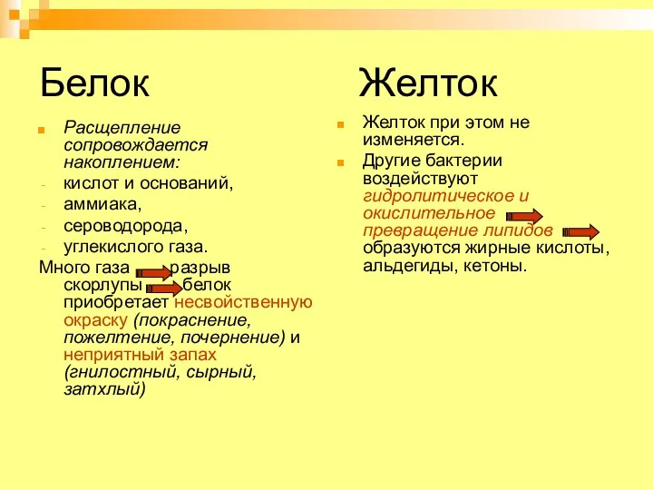 Белок Желток Расщепление сопровождается накоплением: кислот и оснований, аммиака, сероводорода, углекислого газа. Много