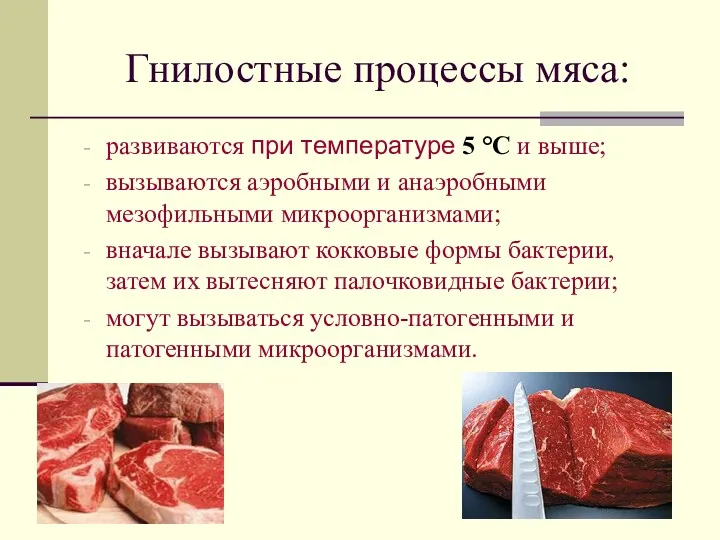 Гнилостные процессы мяса: развиваются при температуре 5 °С и выше; вызываются аэробными и