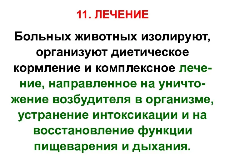 11. ЛЕЧЕНИЕ Больных животных изолируют, организуют диетическое кормление и комплексное