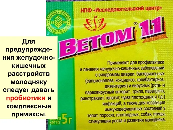 Для предупрежде-ния желудочно-кишечных расстройств молодняку следует давать пробиотики и комплексные премиксы.