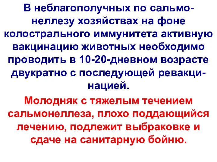 В неблагополучных по сальмо-неллезу хозяйствах на фоне колострального иммунитета активную