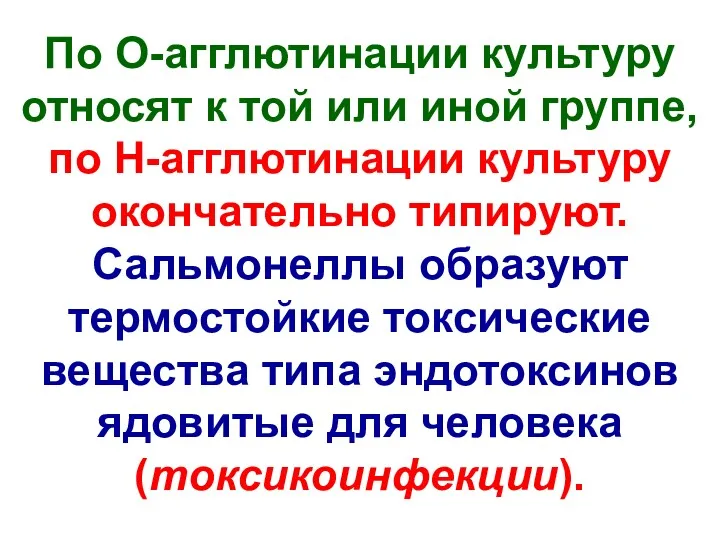 По О-агглютинации культуру относят к той или иной группе, по