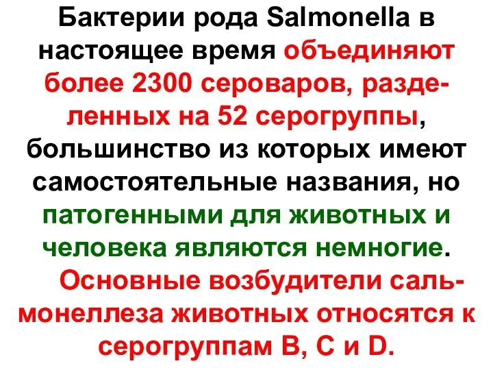 Бактерии рода Salmonella в настоящее время объединяют более 2300 сероваров,