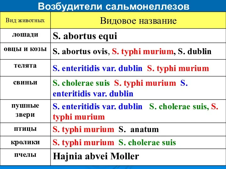 Возбудители сальмонеллезов