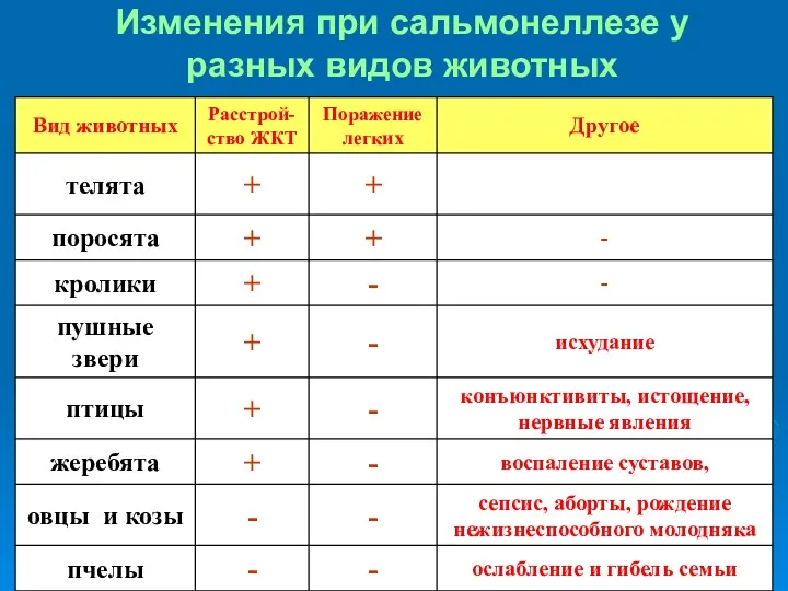 Изменения при сальмонеллезе у разных видов животных