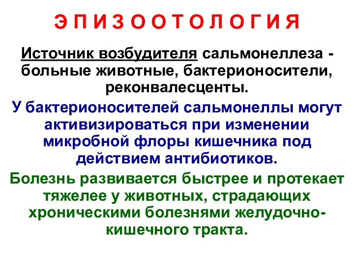 Источник возбудителя сальмонеллеза - больные животные, бактерионосители, реконвалесценты. У бактерионосителей