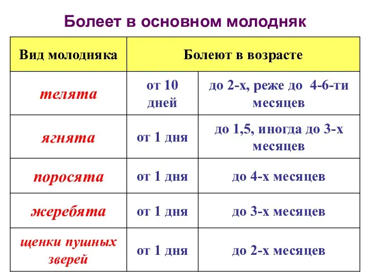 Болеет в основном молодняк