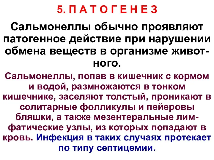 5. П А Т О Г Е Н Е З