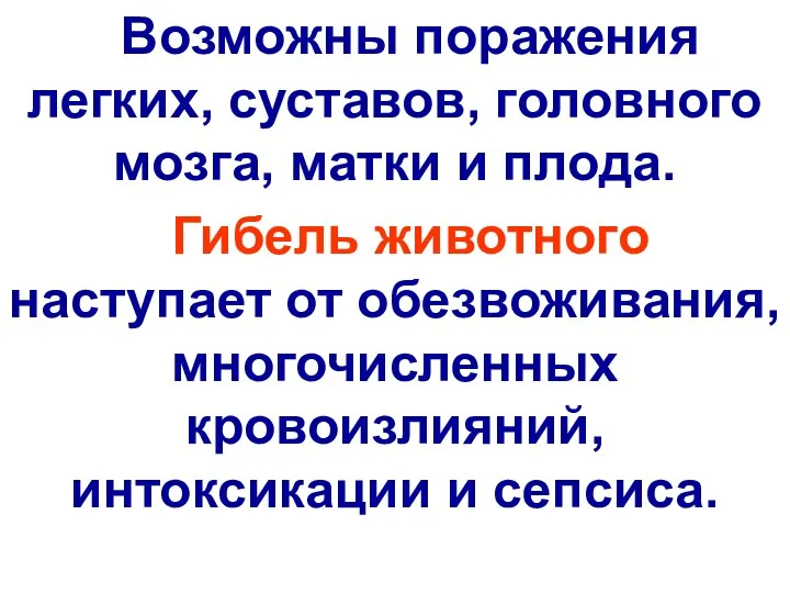 Возможны поражения легких, суставов, головного мозга, матки и плода. Гибель