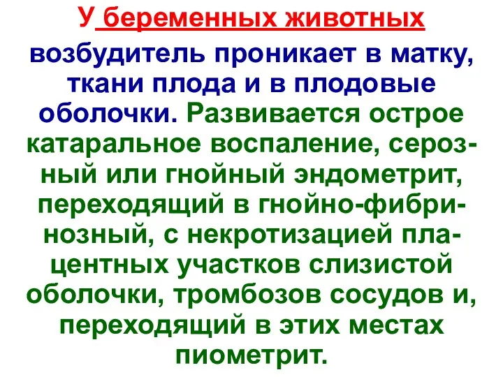 У беременных животных возбудитель проникает в матку, ткани плода и