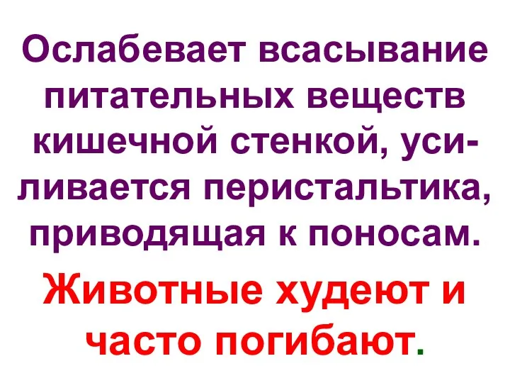 Ослабевает всасывание питательных веществ кишечной стенкой, уси-ливается перистальтика, приводящая к поносам. Животные худеют и часто погибают.