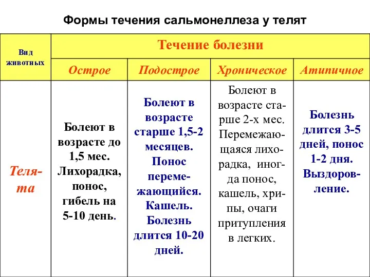 Формы течения сальмонеллеза у телят