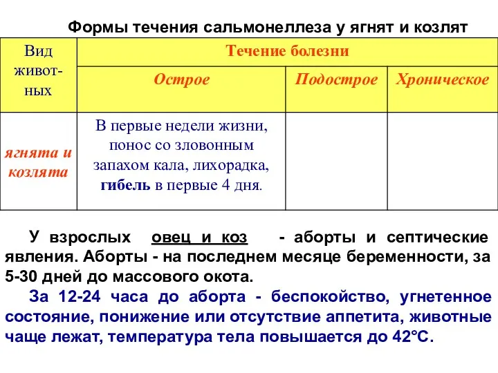 Формы течения сальмонеллеза у ягнят и козлят У взрослых овец