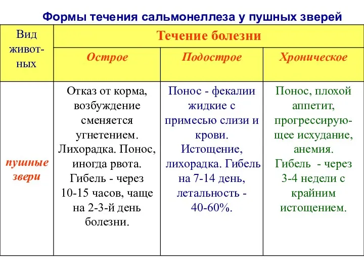 Формы течения сальмонеллеза у пушных зверей