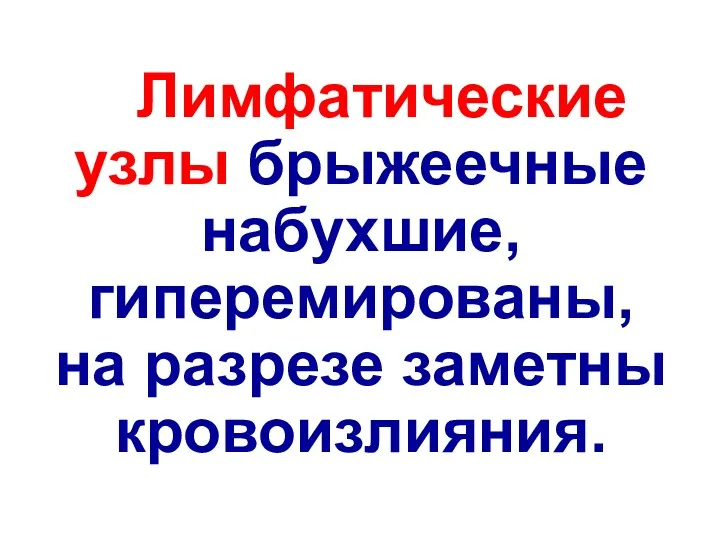 Лимфатические узлы брыжеечные набухшие, гиперемированы, на разрезе заметны кровоизлияния.