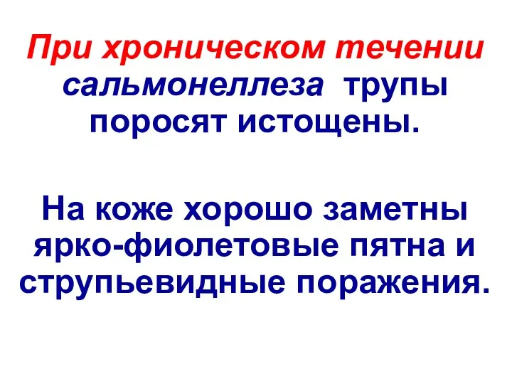 При хроническом течении сальмонеллеза трупы поросят истощены. На коже хорошо заметны ярко-фиолетовые пятна и струпьевидные поражения.