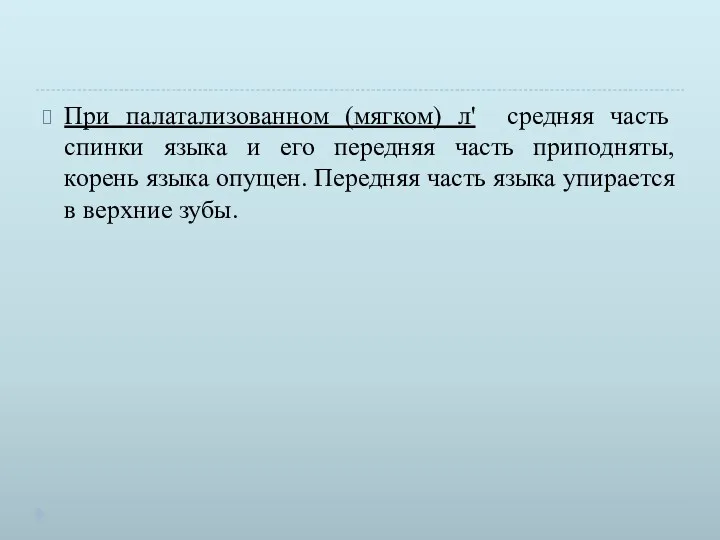 При палатализованном (мягком) л' средняя часть спинки языка и его