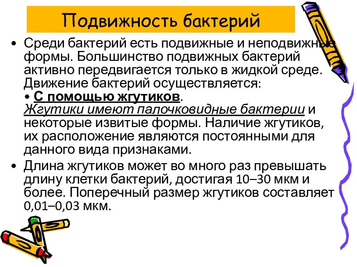 Подвижность бактерий Среди бактерий есть подвижные и неподвижные формы. Большинство