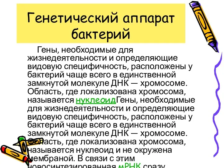 Генетический аппарат бактерий Гены, необходимые для жизнедеятельности и определяющие видовую