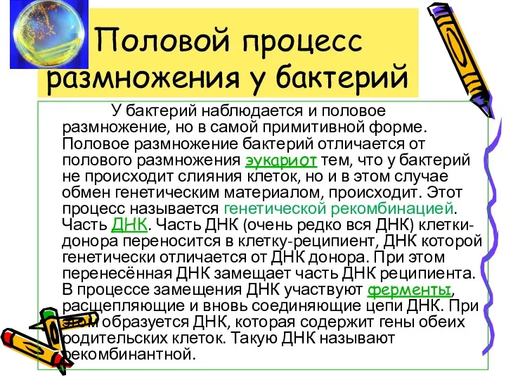 Половой процесс размножения у бактерий У бактерий наблюдается и половое