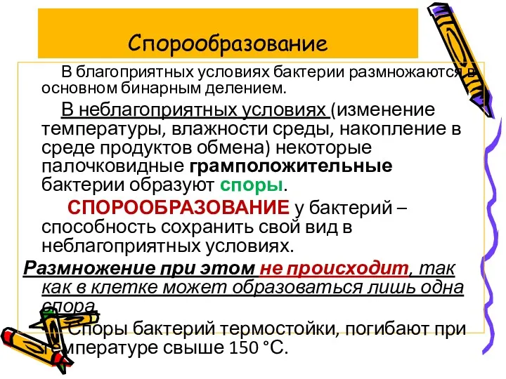 В благоприятных условиях бактерии размножаются в основном бинарным делением. В