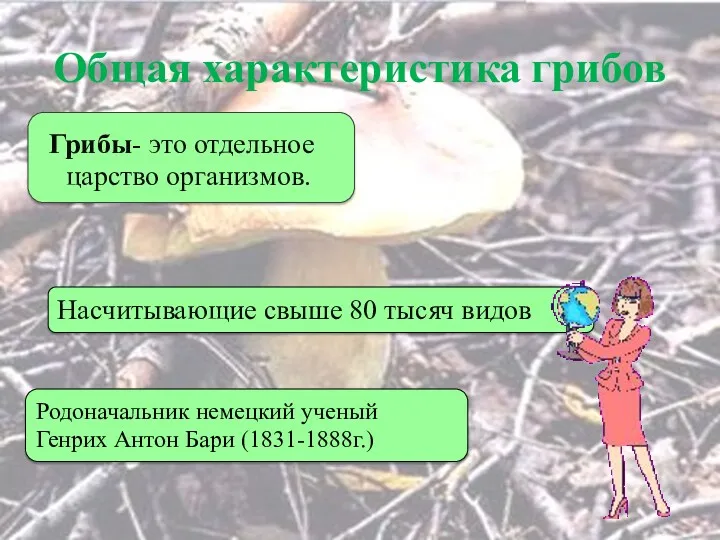 Общая характеристика грибов Грибы- это отдельное царство организмов. Насчитывающие свыше