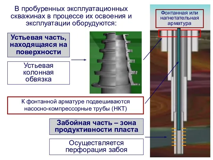 В пробуренных эксплуатационных скважинах в процессе их освоения и эксплуатации оборудуются: Фонтанная или нагнетательная арматура