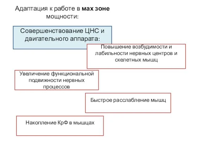 Адаптация к работе в мах зоне мощности: Совершенствование ЦНС и