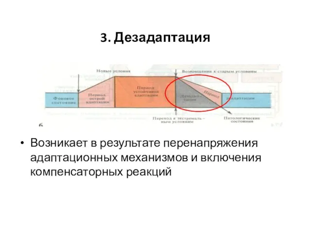 3. Дезадаптация Возникает в результате перенапряжения адаптационных механизмов и включения компенсаторных реакций