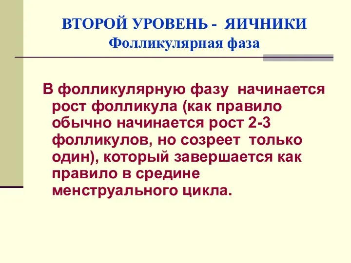 ВТОРОЙ УРОВЕНЬ - ЯИЧНИКИ Фолликулярная фаза В фолликулярную фазу начинается