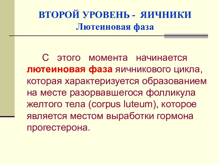 ВТОРОЙ УРОВЕНЬ - ЯИЧНИКИ Лютеиновая фаза С этого момента начинается