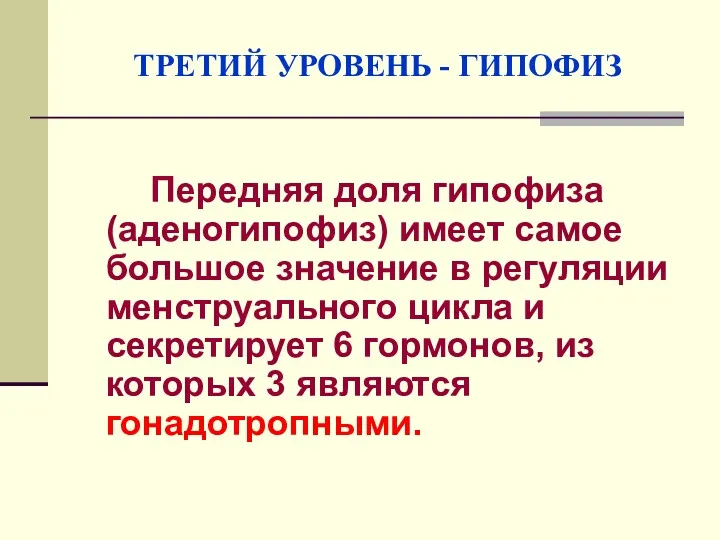 ТРЕТИЙ УРОВЕНЬ - ГИПОФИЗ Передняя доля гипофиза (аденогипофиз) имеет самое