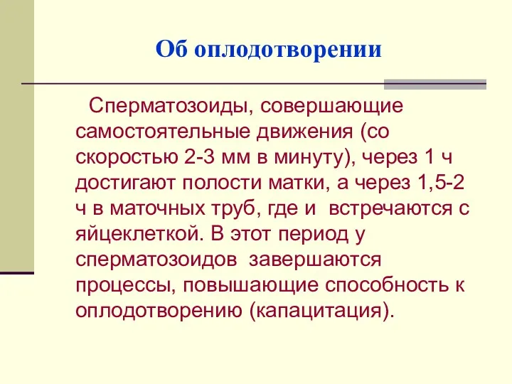 Об оплодотворении Сперматозоиды, совершающие самостоятельные движения (со скоростью 2-3 мм