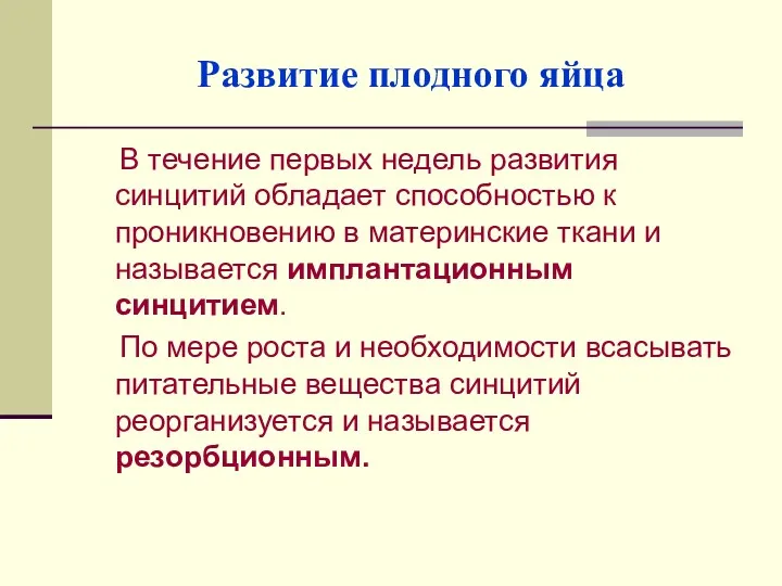 Развитие плодного яйца В течение первых недель развития синцитий обладает