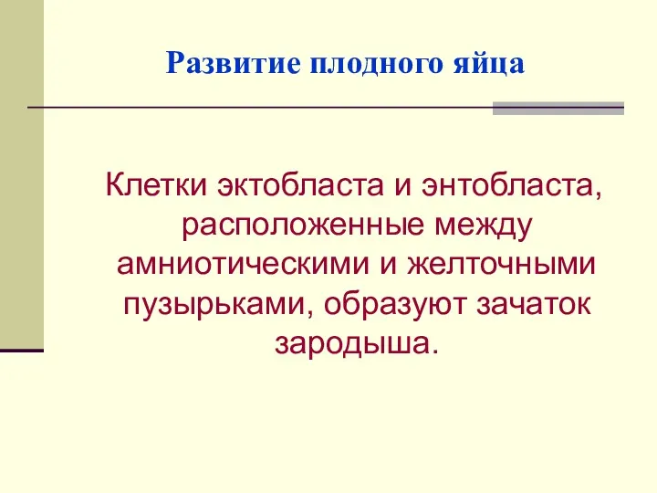 Развитие плодного яйца Клетки эктобласта и энтобласта, расположенные между амниотическими и желточными пузырьками, образуют зачаток зародыша.