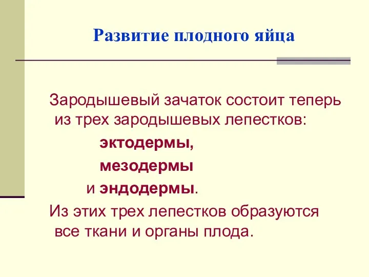 Развитие плодного яйца Зародышевый зачаток состоит теперь из трех зародышевых